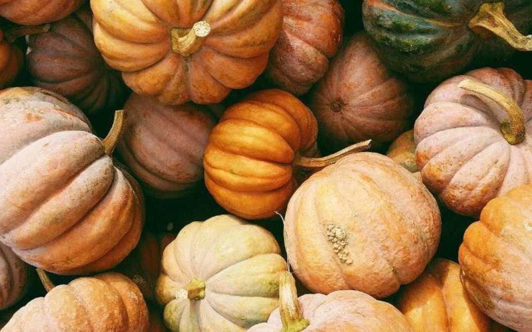 Un cuento para mis nietos